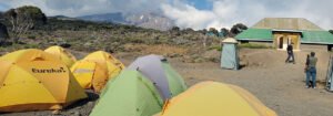 Kilimanjaro Lemosho Route 8 Days