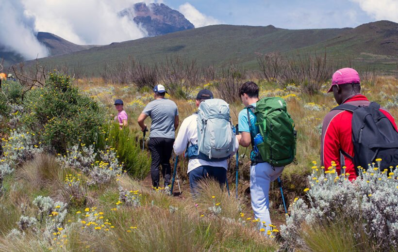 Kilimanjaro Rongai Route 6 Days